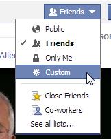 Custom Facebook Friends 9